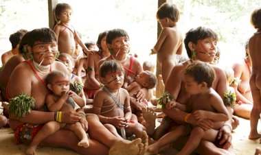 Relatos de 30 meninas Yanomami grávidas de garimpeiros, diz secretário