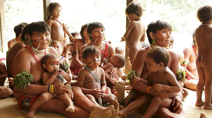 Relatos de 30 meninas Yanomami grávidas de garimpeiros, diz secretário